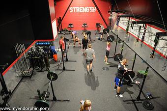 Product - Endorphin Stanley in Denver, CO Sports & Recreational Services