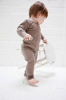 Product - Entertaining Elephants in Los Angeles, CA Shopping & Shopping Services