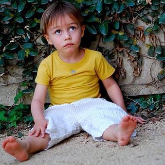 Product - Entertaining Elephants in Los Angeles, CA Shopping & Shopping Services