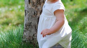 Product - Entertaining Elephants in Los Angeles, CA Shopping & Shopping Services