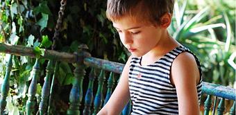 Product - Entertaining Elephants in Los Angeles, CA Shopping & Shopping Services