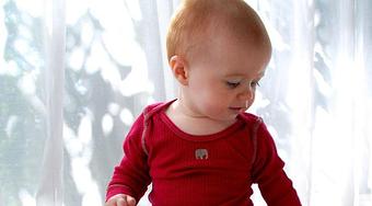 Product - Entertaining Elephants in Los Angeles, CA Shopping & Shopping Services