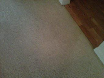 Product - Eron's Carpet Cleaning in Sorrento, FL Carpet Rug & Upholstery Cleaners