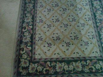 Product - Eron's Carpet Cleaning in Sorrento, FL Carpet Rug & Upholstery Cleaners