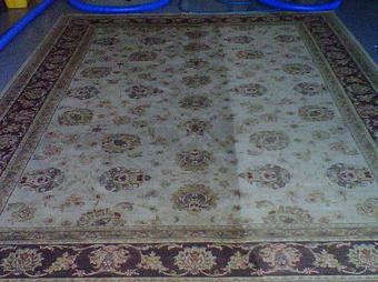 Product - Eron's Carpet Cleaning in Sorrento, FL Carpet Rug & Upholstery Cleaners