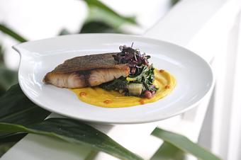 Product: Saffron Cauliflower Purée, Rainbow Swiss Chard, Citrus Caper Beurre Blanc - The Palms AVEDA Spa in Miami Beach - Miami Beach, FL Beauty Salons