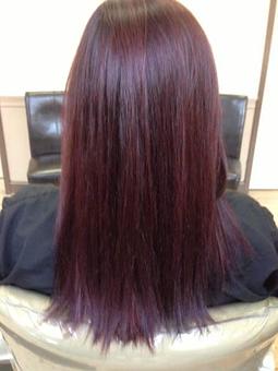 Product - Essentials Salon at Valley Square in Warrington, PA Beauty Salons