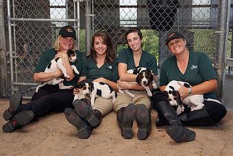 Product - Everything Horse and Hound in Fayetteville, AR Pet Care Services