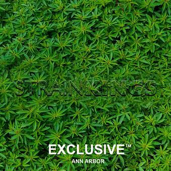 Product - Exclusive Ann Arbor Medical & Recreational Marijuana in Ann Arbor, MI Dispensaries