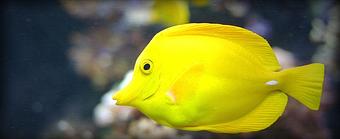 Product - Extreme Marine in Ventura, CA Marine Equipment & Supplies