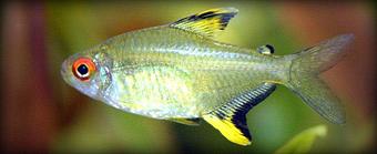 Product - Extreme Marine in Ventura, CA Marine Equipment & Supplies