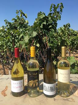 Product - Family Wineries Dry Creek in Dry Creek Valley - Healdsburg, CA Wine Manufacturers