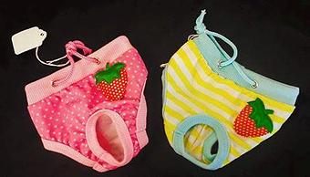 Product - Fancy Paws Boutique & Pet Styling in Corpus Christi, TX Pet Boarding & Grooming