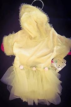 Product - Fancy Paws Boutique & Pet Styling in Corpus Christi, TX Pet Boarding & Grooming