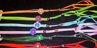 Product - Fancy Paws Boutique & Pet Styling in Corpus Christi, TX Pet Boarding & Grooming