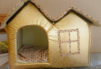 Product - Fancy Paws Boutique & Pet Styling in Corpus Christi, TX Pet Boarding & Grooming