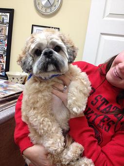 Product - Fancy Paws Spa in Bluffton, SC Pet Boarding & Grooming