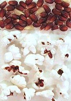 Product - Fat Freddy's Catering in Phoenix, AZ American Restaurants