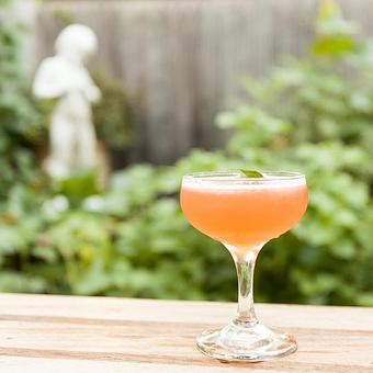 Product - Faun in Prospect Heights - Brooklyn, NY American Restaurants