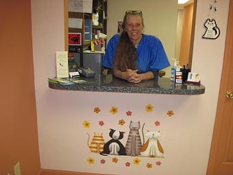 Product - Feline Fabulous in Plaza Midwood / Near CPCC - Charlotte, NC Pet Care Services