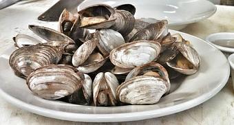 Product - Fins & Tales in Southbridge, MA Seafood Restaurants
