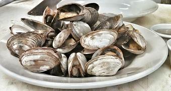Product - Fins & Tales in Southbridge, MA Seafood Restaurants