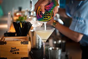 Product - Fish Out of Water in Santa Rosa Beach - Santa Rosa Beach, FL Seafood Restaurants Product - Fish Out of Water in Santa Rosa Beach - Santa Rosa Beach, FL Seafood Restaurants