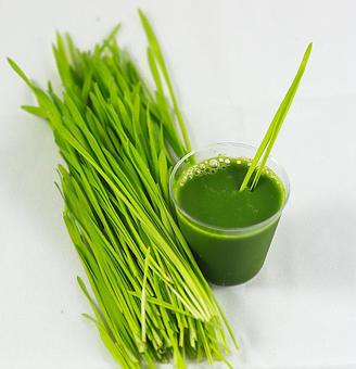 Product - Flavor Juicery in Web Bridge - Alpharetta, GA Dessert Restaurants