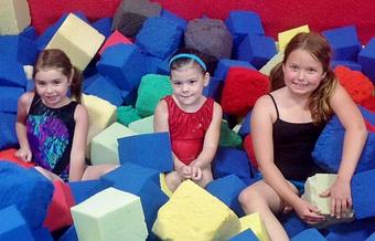 Product - Flips Gymnastics in Lake Forest, IL Sports & Recreational Services