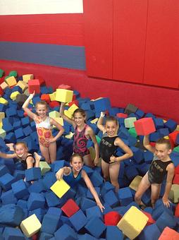 Product - Flips Gymnastics in Lake Forest, IL Sports & Recreational Services
