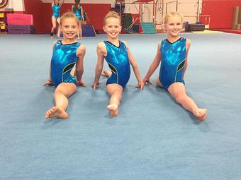 Product - Flips Gymnastics in Lake Forest, IL Sports & Recreational Services