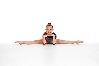 Product - Flips Gymnastics in Lake Forest, IL Sports & Recreational Services