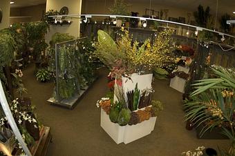 Product - Floral & Hearty Designs, in Coral Springs, FL Florists