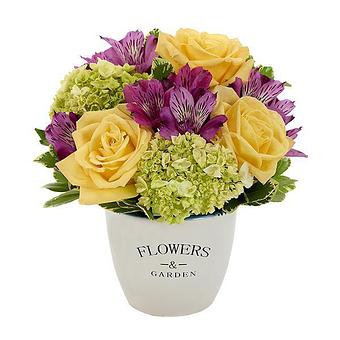 Product - Flowers by Daisy in Freehold, NJ Florists