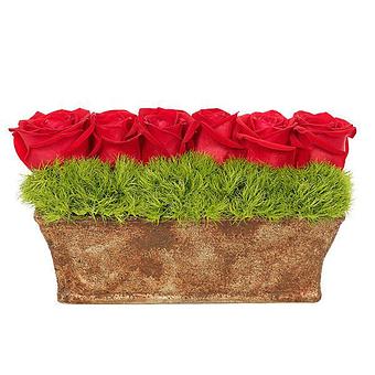 Product - Flowers by Maria in New Port Richey, FL Florists