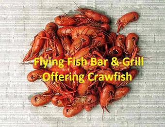 Product - Flying Fish Bar and Grill in Savannah, GA Beer Taverns
