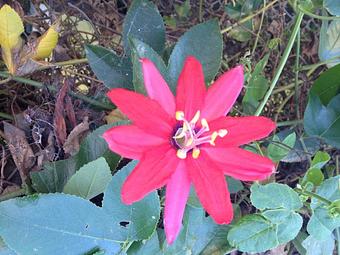 Product - Follicle Hair Salon in Union Square - San Francisco, CA Beauty Salons