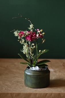 Product - Forevermark Flowers in Newton, MA Florists