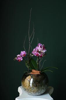 Product - Forevermark Flowers in Newton, MA Florists