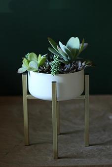 Product - Forevermark Flowers in Newton, MA Florists