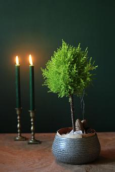 Product - Forevermark Flowers in Newton, MA Florists