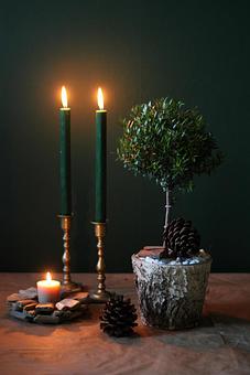 Product - Forevermark Flowers in Newton, MA Florists