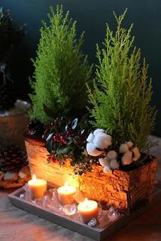 Product - Forevermark Flowers in Newton, MA Florists