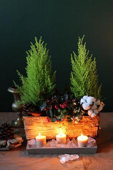 Product - Forevermark Flowers in Newton, MA Florists