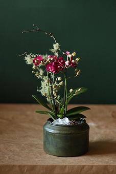 Product - Forevermark Flowers in Newton, MA Florists