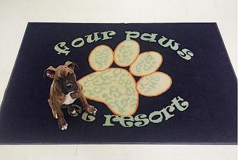 Product - Four Paws Pet Resort in North Chesterfield, VA Pet Boarding & Grooming