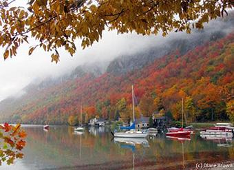 Product - Foxtale Studio in Orleans, VT Misc Photographers