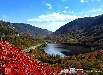 Product - Foxtale Studio in Orleans, VT Misc Photographers