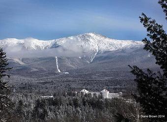 Product - Foxtale Studio in Orleans, VT Misc Photographers
