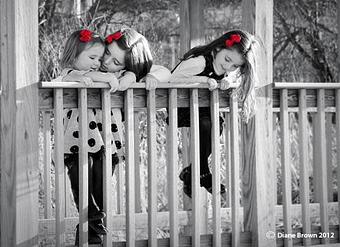 Product - Foxtale Studio in Orleans, VT Misc Photographers